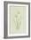 Snowdrop-Frederick Edward Hulme-Framed Giclee Print