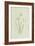 Snowdrop-Frederick Edward Hulme-Framed Giclee Print