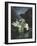 Snowdrops, 1995-Norman Hollands-Framed Photographic Print