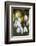 Snowdrops, Cotswolds, Gloucestershire, England, United Kingdom, Europe-Stuart Black-Framed Photographic Print