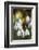 Snowdrops, Cotswolds, Gloucestershire, England, United Kingdom, Europe-Stuart Black-Framed Photographic Print