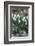 Snowdrops in Frost, Cotswolds, Gloucestershire, England, United Kingdom, Europe-Stuart Black-Framed Photographic Print