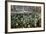 Snowdrops in Woodland, Near Stow-On-The-Wold, Cotswolds, Gloucestershire, England, UK-Stuart Black-Framed Photographic Print