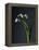 Snowdrops-Maja-Framed Premier Image Canvas