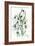 Snowdrops-Nell Hill-Framed Giclee Print