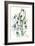 Snowdrops-Nell Hill-Framed Giclee Print