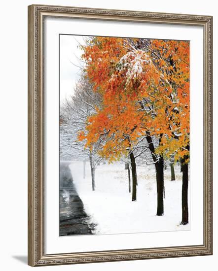 Snowfall III-Burney Lieberman-Framed Art Print