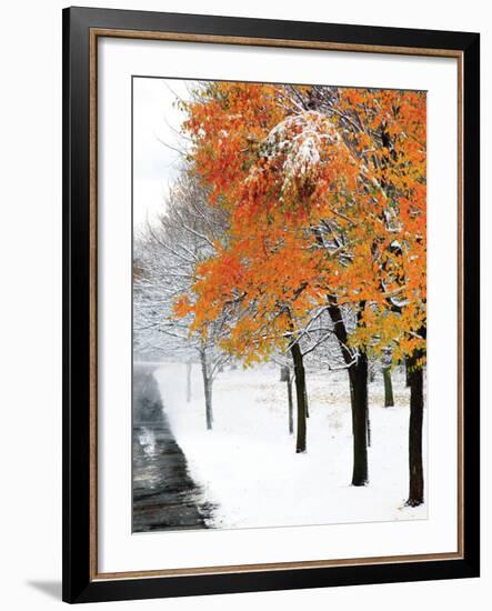 Snowfall III-Burney Lieberman-Framed Art Print