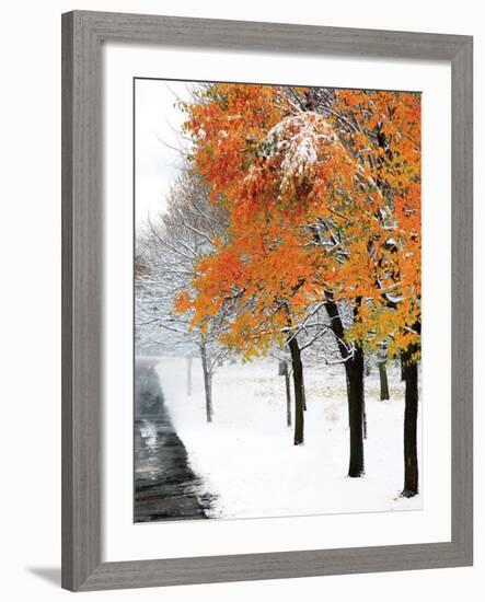 Snowfall III-Burney Lieberman-Framed Art Print