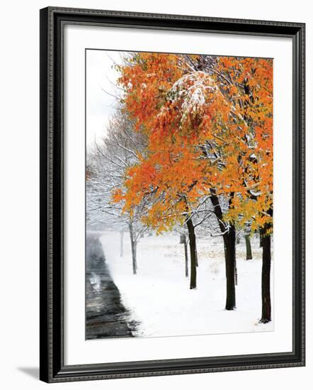 Snowfall III-Burney Lieberman-Framed Art Print