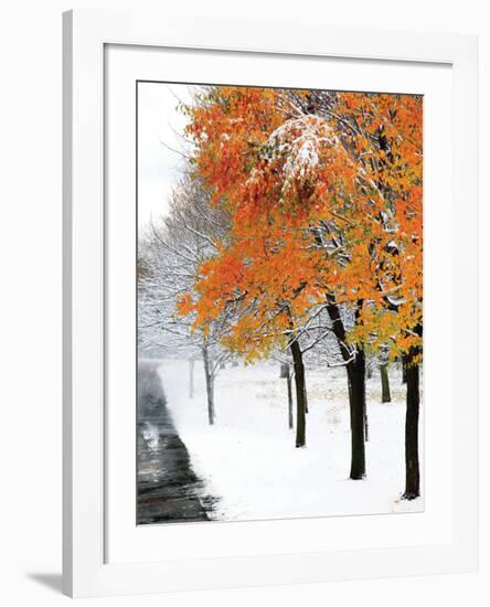 Snowfall III-Burney Lieberman-Framed Art Print