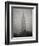 Snowfall in New York City-Christopher C Collins-Framed Premium Photographic Print