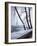 Snowfall in Paris: Passerelle Debilly and Eiffel Tower-Dmitri Kessel-Framed Photographic Print