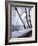 Snowfall in Paris: Passerelle Debilly and Eiffel Tower-Dmitri Kessel-Framed Photographic Print