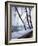 Snowfall in Paris: Passerelle Debilly and Eiffel Tower-Dmitri Kessel-Framed Photographic Print