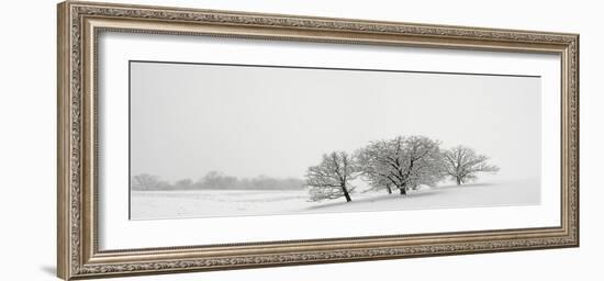 Snowfall Jo Davies County Illinois-Steve Gadomski-Framed Photographic Print