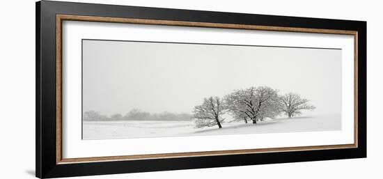 Snowfall Jo Davies County Illinois-Steve Gadomski-Framed Photographic Print