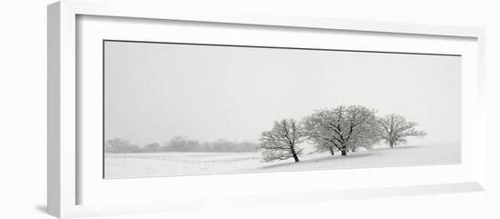 Snowfall Jo Davies County Illinois-Steve Gadomski-Framed Photographic Print