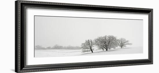 Snowfall Jo Davies County Illinois-Steve Gadomski-Framed Photographic Print