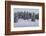 Snowfall, Ski Tourer in Front of a Winter Wood at the Kranzberg at Mittenwald, Wetterstein Range-Rolf Roeckl-Framed Photographic Print