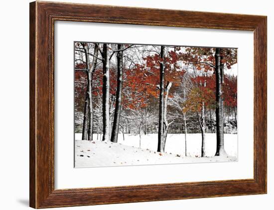 SnowFall-Burney Lieberman-Framed Giclee Print