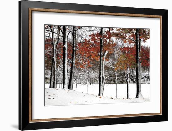 SnowFall-Burney Lieberman-Framed Giclee Print