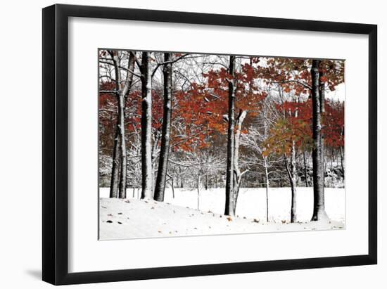 SnowFall-Burney Lieberman-Framed Giclee Print