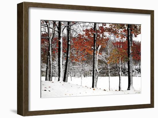 SnowFall-Burney Lieberman-Framed Giclee Print