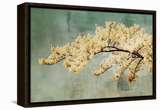 Snowfall-Andrew Michaels-Framed Stretched Canvas