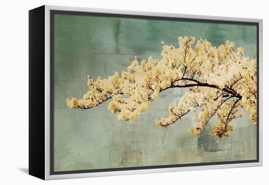 Snowfall-Andrew Michaels-Framed Stretched Canvas