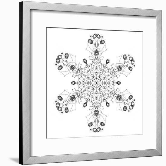 Snowflake 5-RUNA-Framed Giclee Print