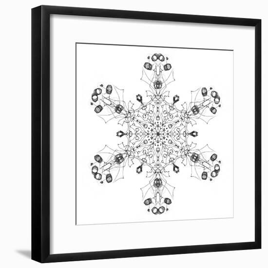 Snowflake 5-RUNA-Framed Giclee Print