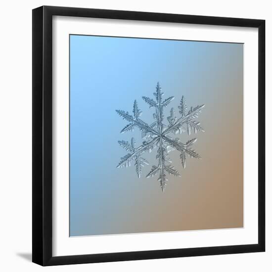 Snowflake on Smooth Blue-Brown Gradient Background. this is Macro Photo of Real Snow Crystal: Large-Alexey Kljatov-Framed Photographic Print