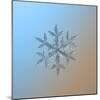 Snowflake on Smooth Blue-Brown Gradient Background. this is Macro Photo of Real Snow Crystal: Large-Alexey Kljatov-Mounted Photographic Print