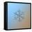 Snowflake on Smooth Blue-Brown Gradient Background. this is Macro Photo of Real Snow Crystal: Large-Alexey Kljatov-Framed Stretched Canvas