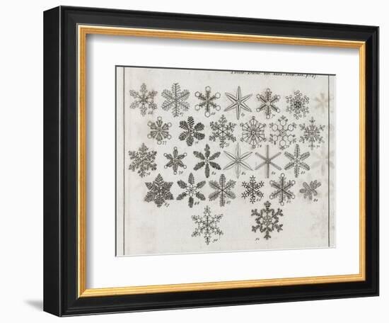 Snowflake Research, 18th Century-Middle Temple Library-Framed Photographic Print