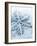 Snowflake Shaped Christmas Ornament Lying in the Snow-null-Framed Photographic Print