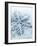 Snowflake Shaped Christmas Ornament Lying in the Snow-null-Framed Photographic Print