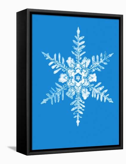 Snowflake-Mehau Kulyk-Framed Premier Image Canvas