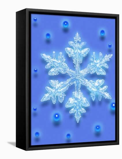 Snowflake-Mehau Kulyk-Framed Premier Image Canvas