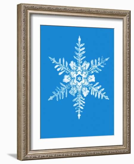 Snowflake-Mehau Kulyk-Framed Photographic Print