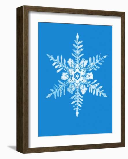 Snowflake-Mehau Kulyk-Framed Photographic Print