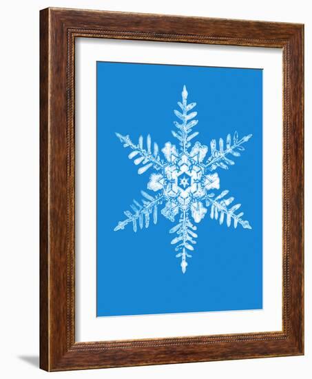 Snowflake-Mehau Kulyk-Framed Photographic Print