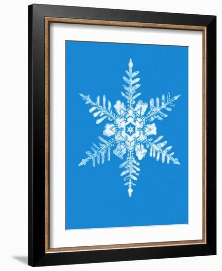 Snowflake-Mehau Kulyk-Framed Photographic Print