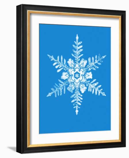 Snowflake-Mehau Kulyk-Framed Photographic Print
