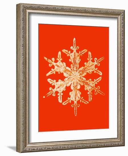 Snowflake-Mehau Kulyk-Framed Photographic Print