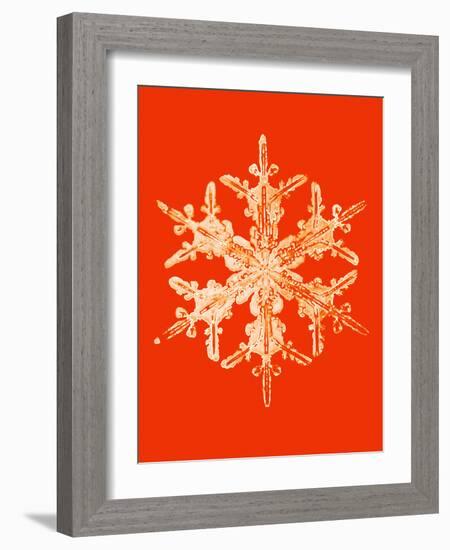 Snowflake-Mehau Kulyk-Framed Photographic Print