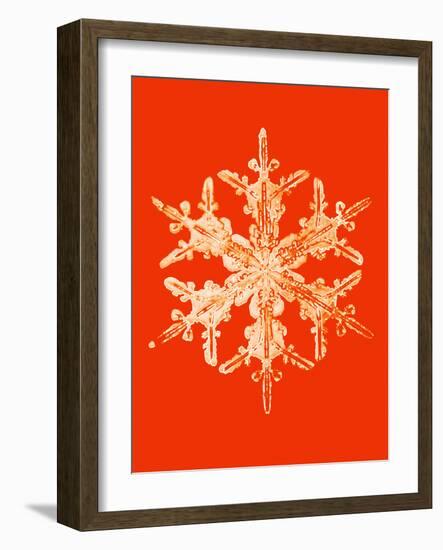 Snowflake-Mehau Kulyk-Framed Photographic Print