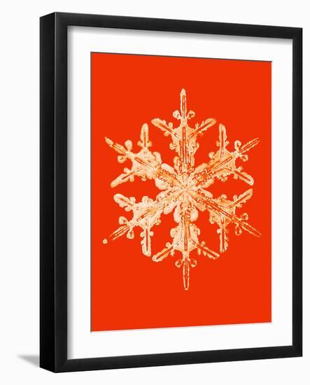 Snowflake-Mehau Kulyk-Framed Photographic Print