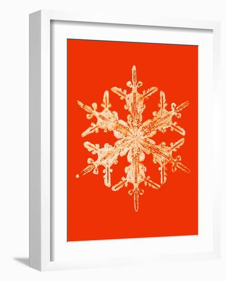 Snowflake-Mehau Kulyk-Framed Photographic Print